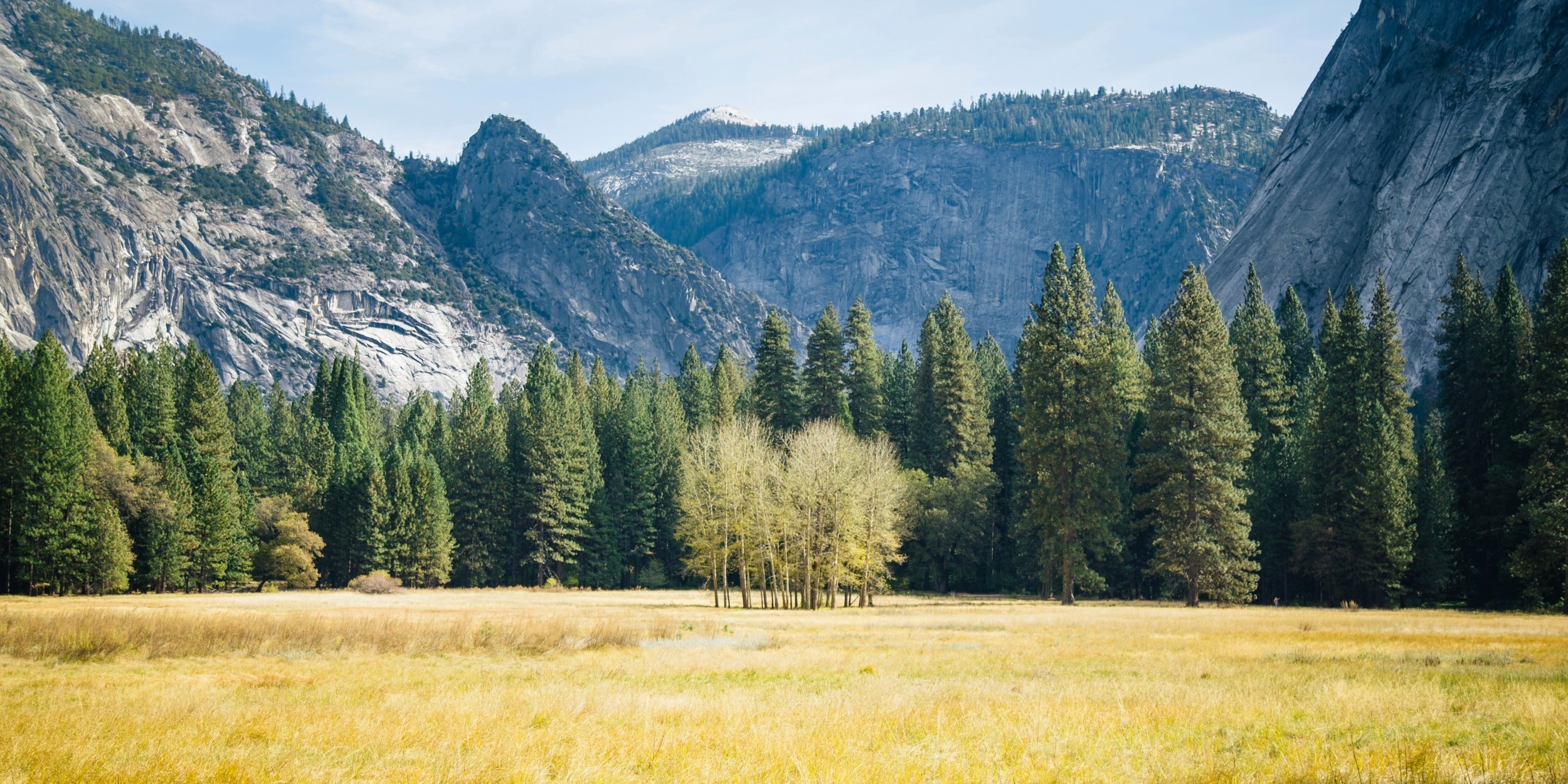 paysage_prairie_montagne_unsplash.jpg